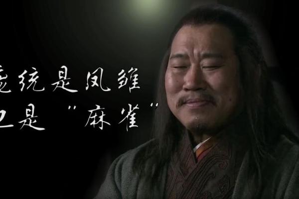 适合当军师的命格：智慧与决策的完美结合