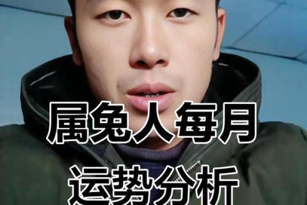 揭秘1076兔年：兔年的命理与运势解析