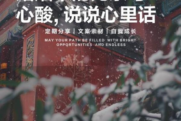 没有婚姻的命运：独自人生的深刻探索与启示
