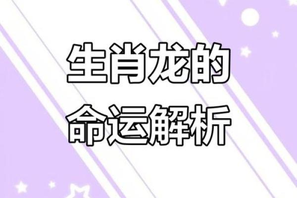 1970年属龙人的命运与性格剖析：如何在现代社会中蓬勃发展