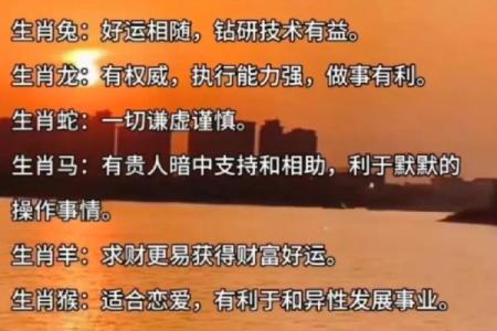 40岁属什么生肖？揭示命运背后的秘密与人生智慧