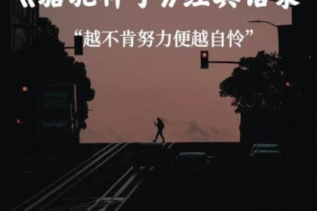 《九命奇冤：命运交织的悬疑之旅》