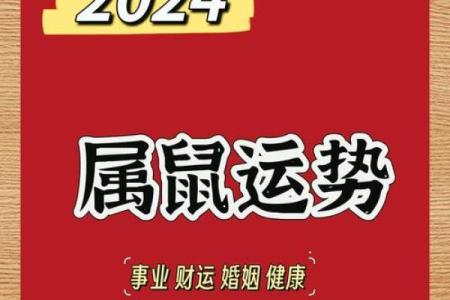 1940年属的鼠年命运分析及人生启示