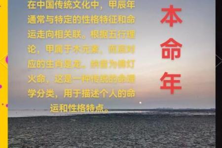 属龙的人命运解析：探寻大龙的神秘面纱与命运之路