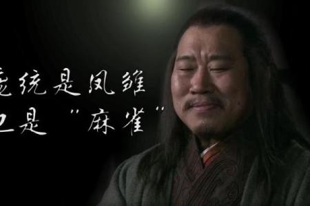 适合当军师的命格：智慧与决策的完美结合
