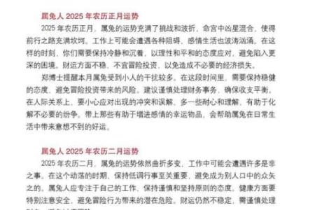 揭秘1076兔年：兔年的命理与运势解析