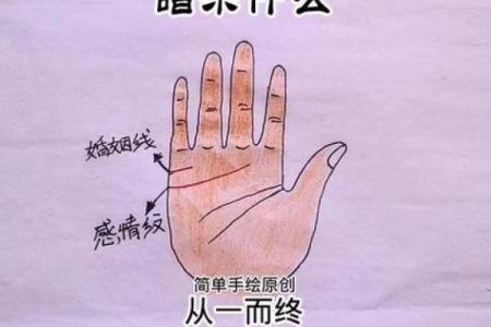 1978年出生的马女命运解析：她们的个性与人生旅程