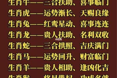 解密2019年鼠年：命理与运势的深度探索