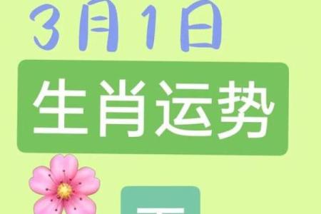 2023年属羊人的运势解析：命理与巧妙应对全方位指南