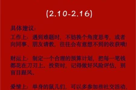 鼠年出生的人命运分析：性格、事业与爱情的多样化轨迹