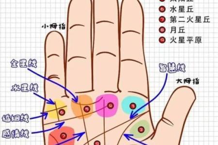 手指向手背，命运的指示：从手相解读人生的奥秘