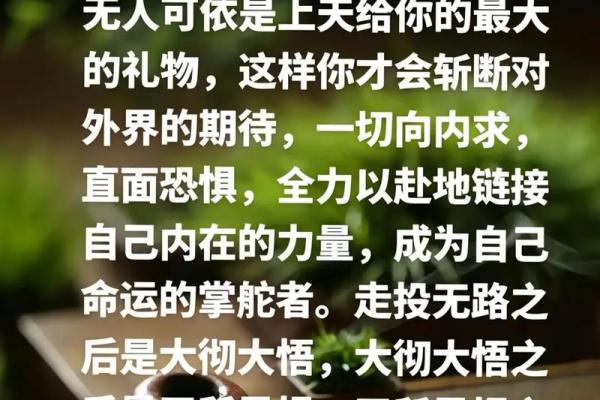 相信命运的力量：生命中的选择与机遇之舞