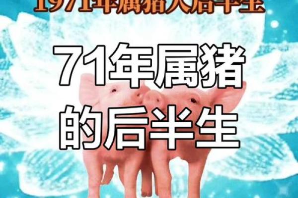 2019年木猪命解析：命运深邃，性格鲜明的木猪伴你走过一生