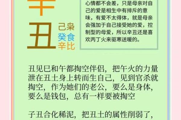 12月30日出生的人：命运与性格的奇妙交织