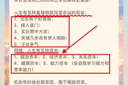 相信命运的力量：生命中的选择与机遇之舞