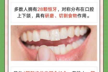 牙齿与命运：多少颗牙齿暗示着你的命型与性格