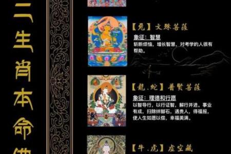 探寻护命真经：佛教智慧的护佑之道