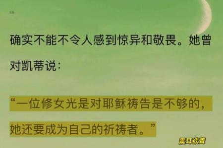 揭开日本流行命理的神秘面纱：了解你的命运与潜能
