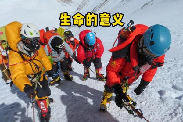 一命抵一命：生命的价值与意义探讨