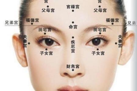 19924年4月18日出生的人命运解析与性格特点