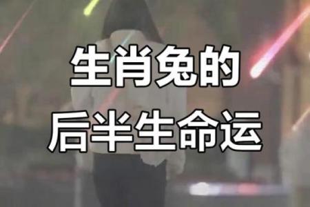 女属兔的命运解析：揭开2023年运势的神秘面纱