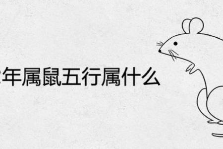 水鼠命人的性格与生活注意事项解析