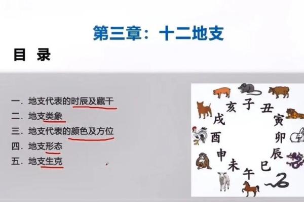 庚子年戊寅月：探寻命理与命运的奥秘