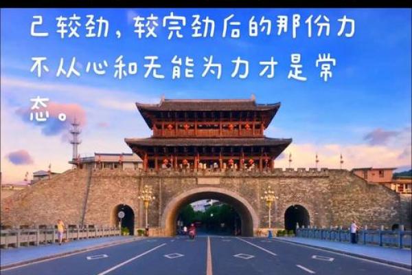 潇洒命：畅享生活的自由与从容之道