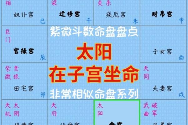 探秘十二星座命格：星辰如何左右你的命运？