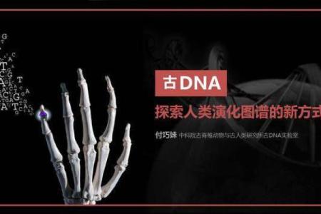 揭开命坤的面纱：这是什么意思及其背后的哲学道理