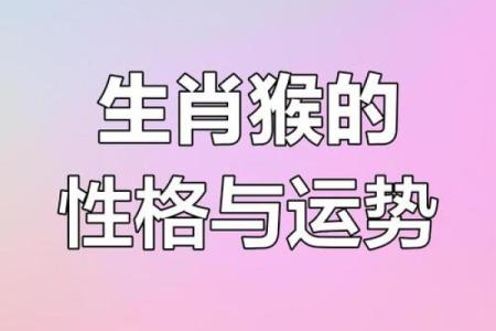 1992年出生的猴子命运解析：一场神秘的动物传奇之旅