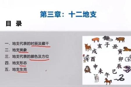 庚子年戊寅月：探寻命理与命运的奥秘