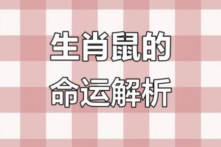 2008年鼠年命格解析：揭示鼠年人的性格与命运
