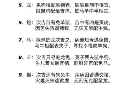 甲午年出生的生肖属相与命理分析：揭开命运的奥秘