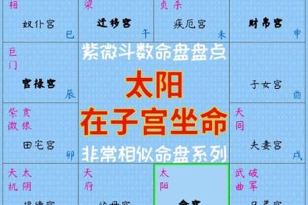 探秘十二星座命格：星辰如何左右你的命运？