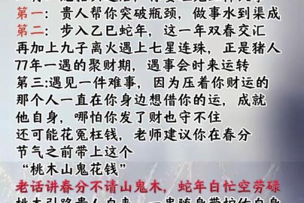 探秘木猪命：忌讳的颜色与命理文化的深邃联系