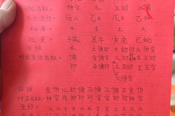 探秘丙子乙丑命年背后的奥秘与人生启示