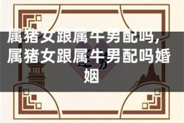 八字合婚：龙女与牛男的完美结合