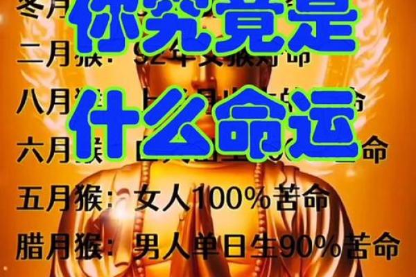 属什么说什么的人是什么命：揭示你命运的秘密力量