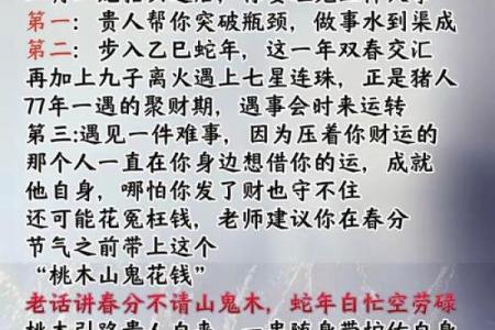 探秘木猪命：忌讳的颜色与命理文化的深邃联系