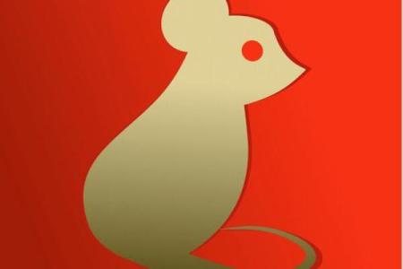 2008年鼠年：生肖文化的魅力与启示