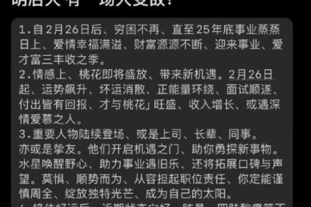 农历11月出生的兔子命，探寻人生的不同轨迹与机遇