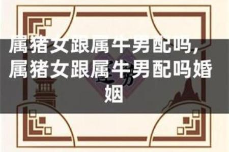 八字合婚：龙女与牛男的完美结合