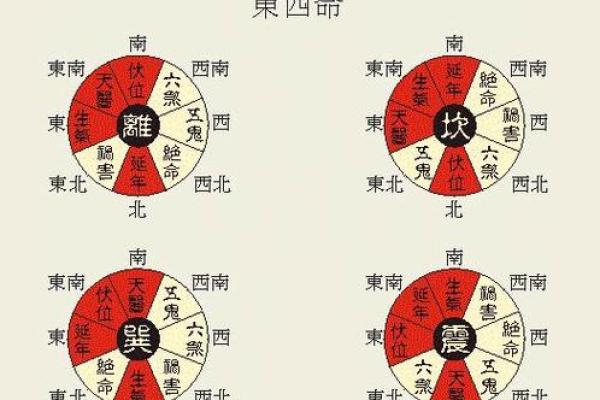 探索西四命：解密命卦中的独特象征与人生密码