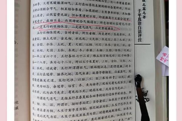 深入解析：己亥年申时出生的命理特征与运势展望