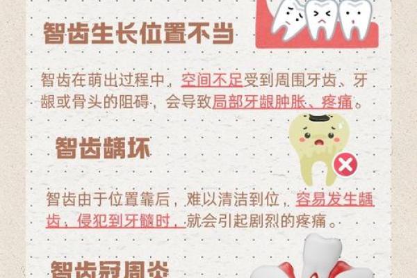 探索26颗牙齿背后的命运与智慧