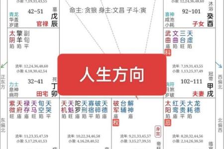 探索官禄格命格：揭示命运背后的秘密与智慧