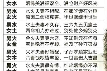 算命先生口中的“女命克男命”究竟意味着什么？解读背后的文化寓意与人生哲学