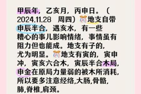 深入解析：己亥年申时出生的命理特征与运势展望