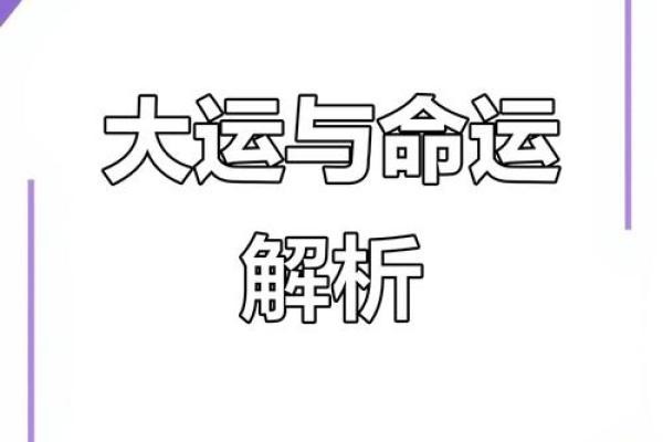 五九年命理解析：从命运看人生的选择与机遇